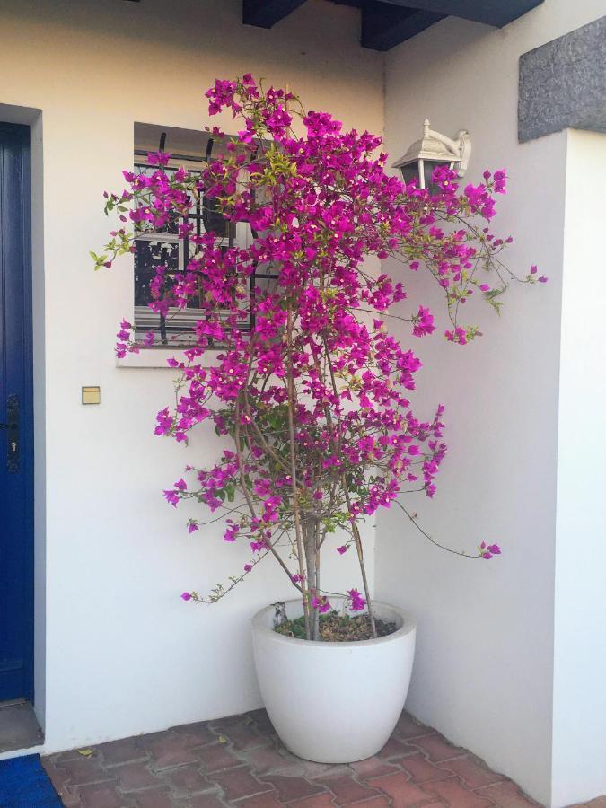Haritza Bed & Breakfast Anglet Ngoại thất bức ảnh